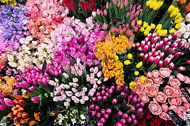 《银河战士：生存恐惧》科隆展发布新预告 